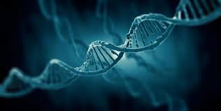 Legal paternity DNA testing Dallas TX